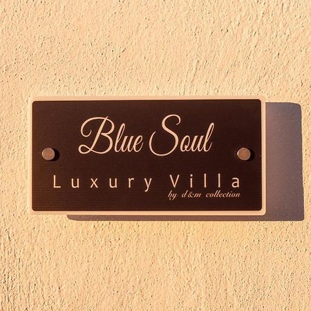 Blue Soul Luxury Villa Éxo Goniá Zewnętrze zdjęcie