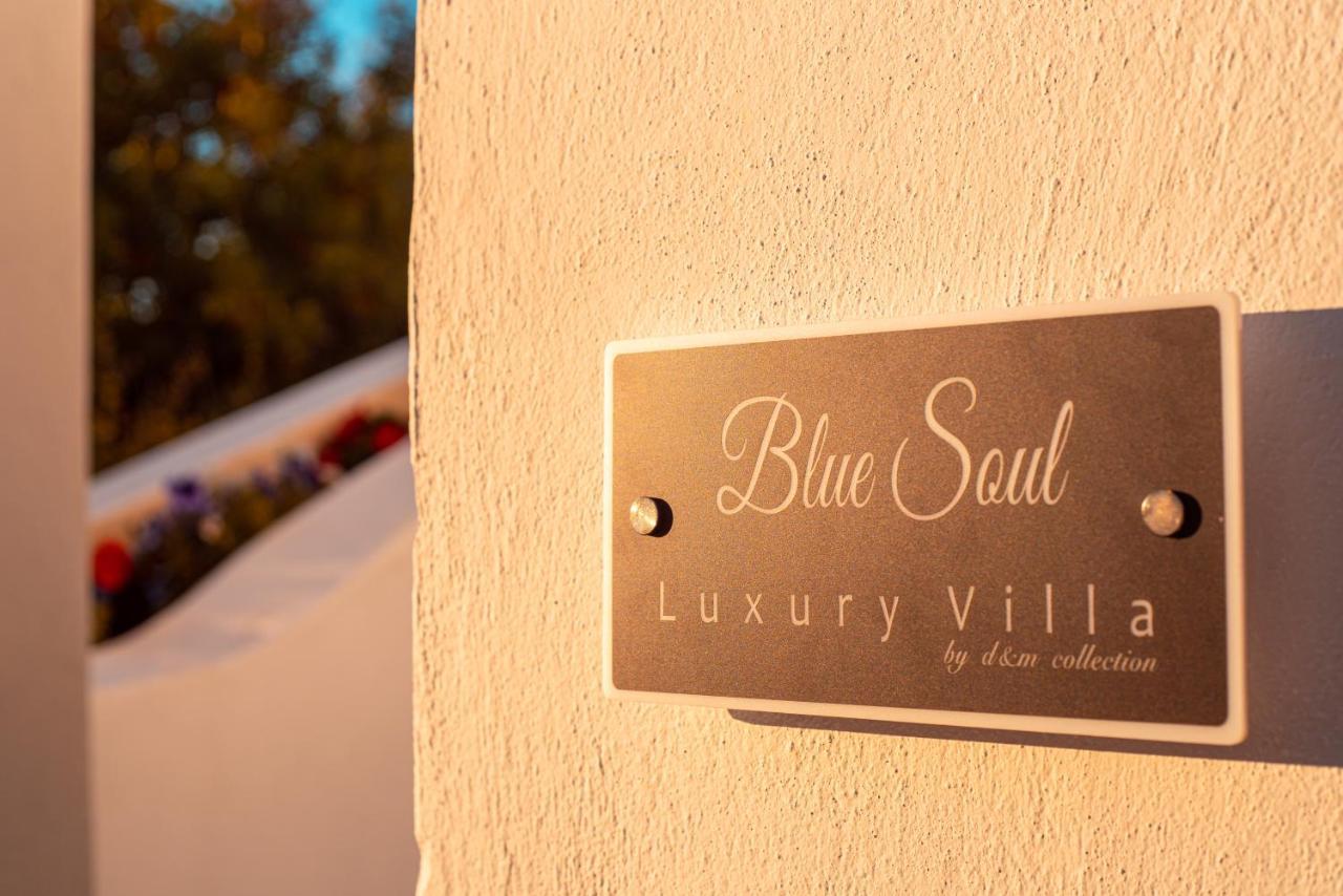 Blue Soul Luxury Villa Éxo Goniá Zewnętrze zdjęcie